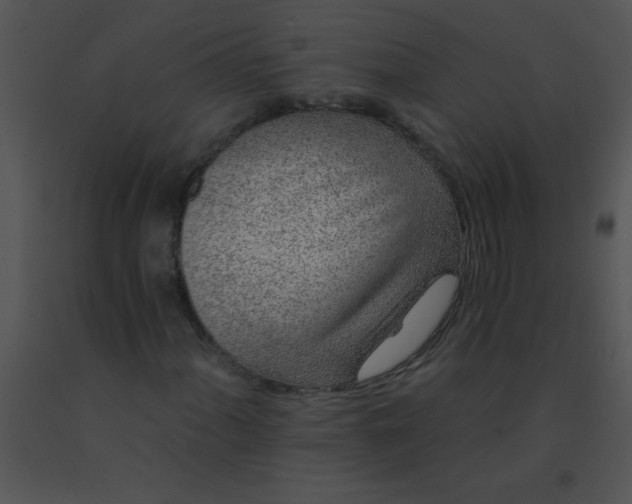 X0000091561060200708311410