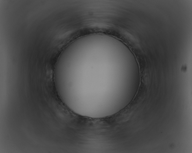 X0000091561061200708311410