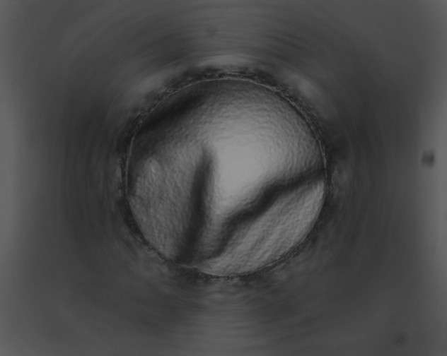 X0000091561062200708311410