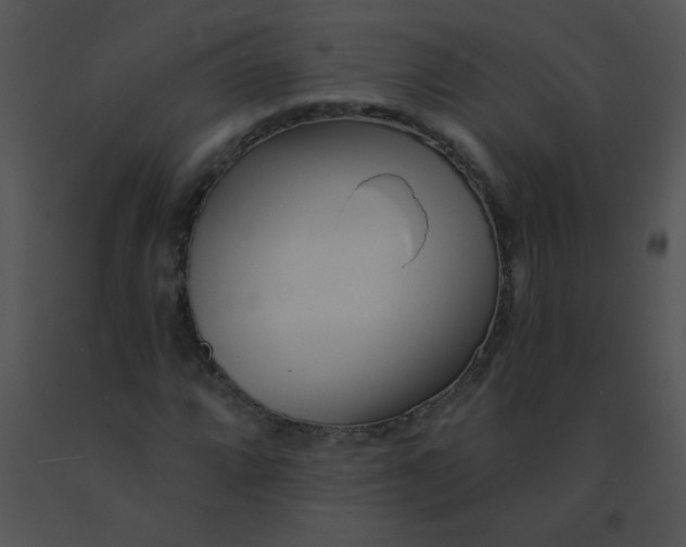 X0000091561064200708311410