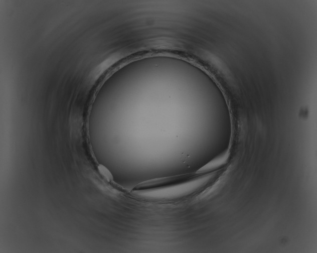 X0000091561065200708311410