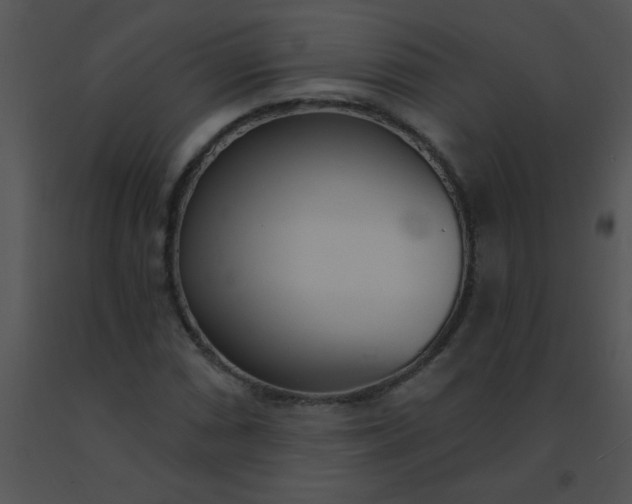 X0000091561066200708311410