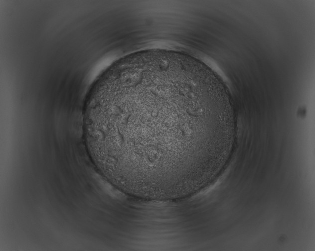 X0000091561067200708311410