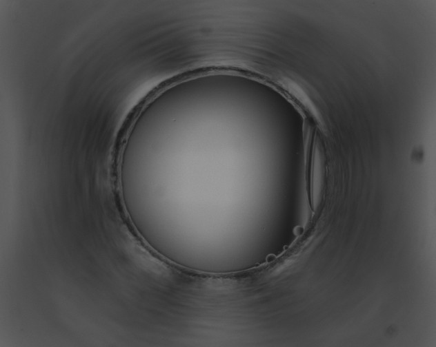 X0000091561068200708311410