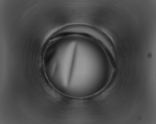 X0000091561069200708311410