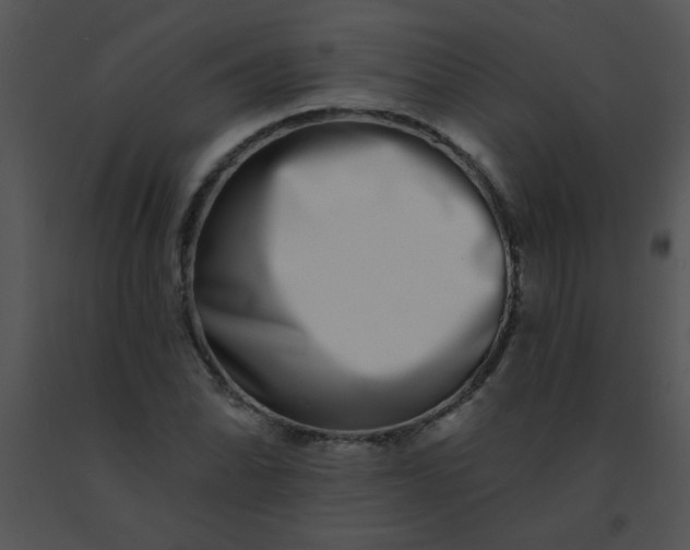 X0000091561070200708311410