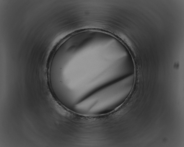 X0000091561072200708311410