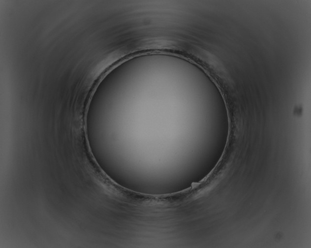 X0000091561073200708311410