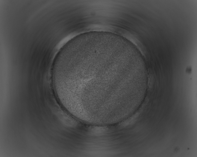 X0000091561074200708311410