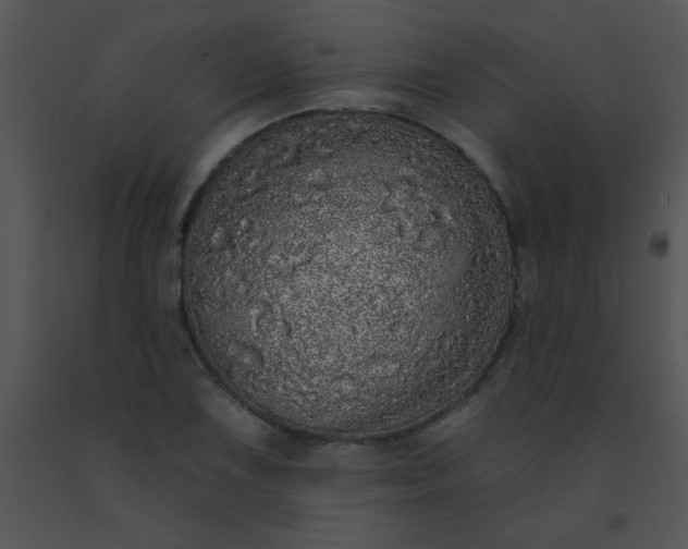 X0000091561075200708311410