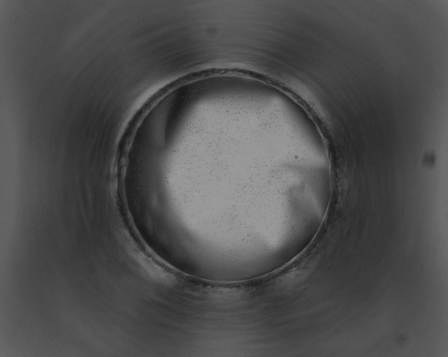 X0000091561076200708311410