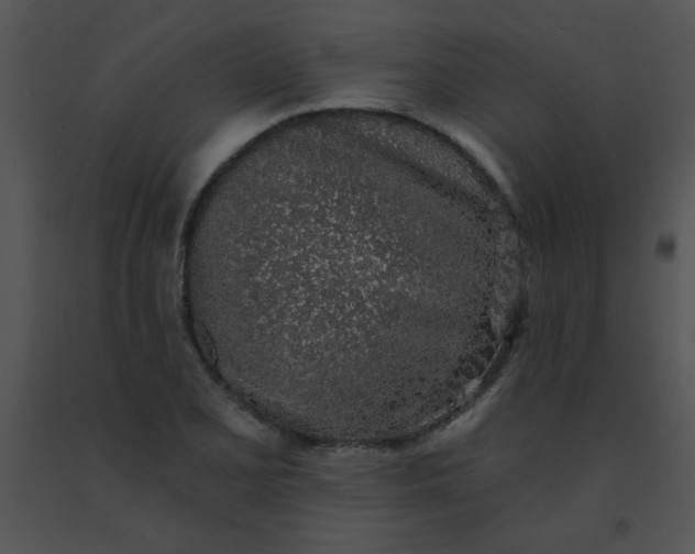 X0000091561077200708311410