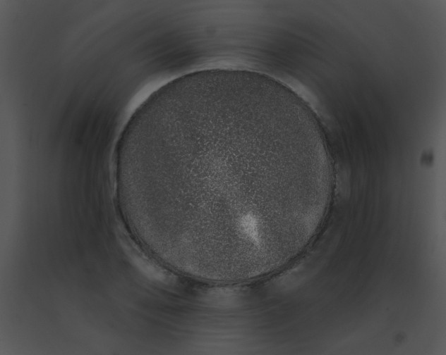 X0000091561078200708311410