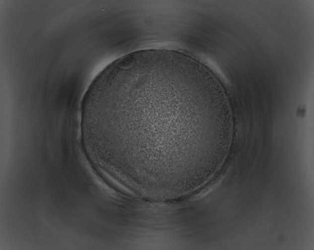 X0000091561079200708311410