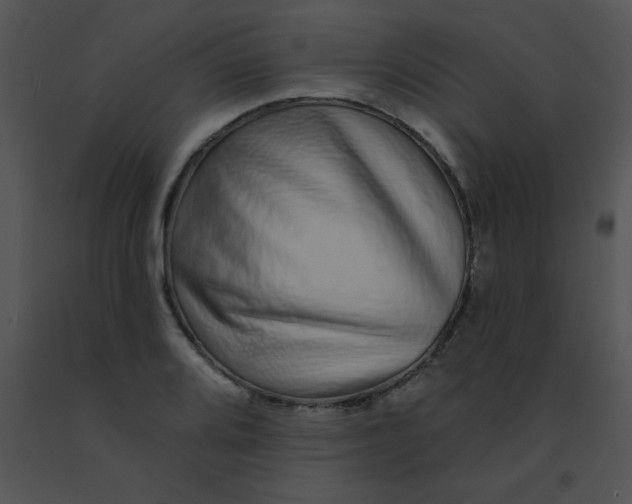 X0000091561080200708311410