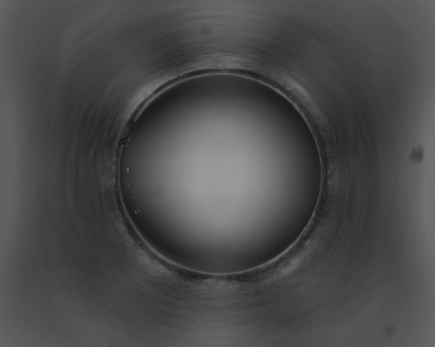 X0000091561081200708311410