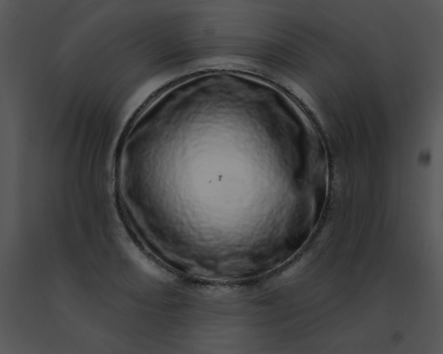 X0000091561082200708311410