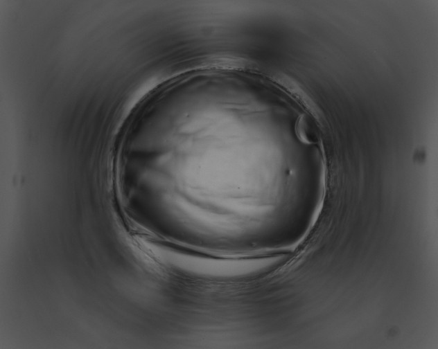 X0000091561083200708311410