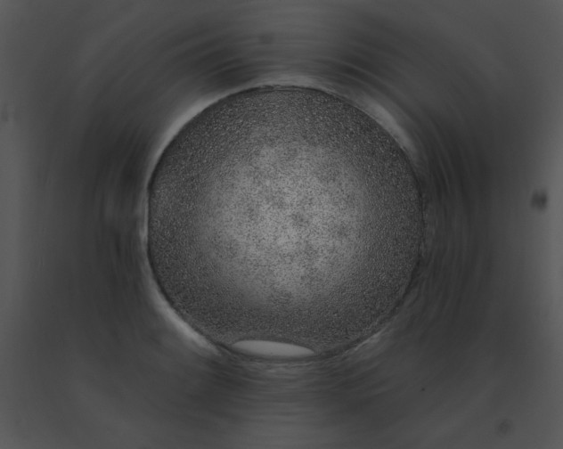 X0000091561084200708311410