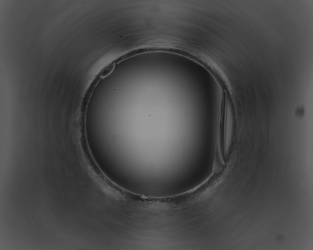 X0000091561085200708311410