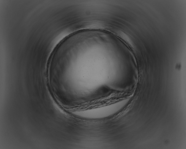 X0000091561087200708311410