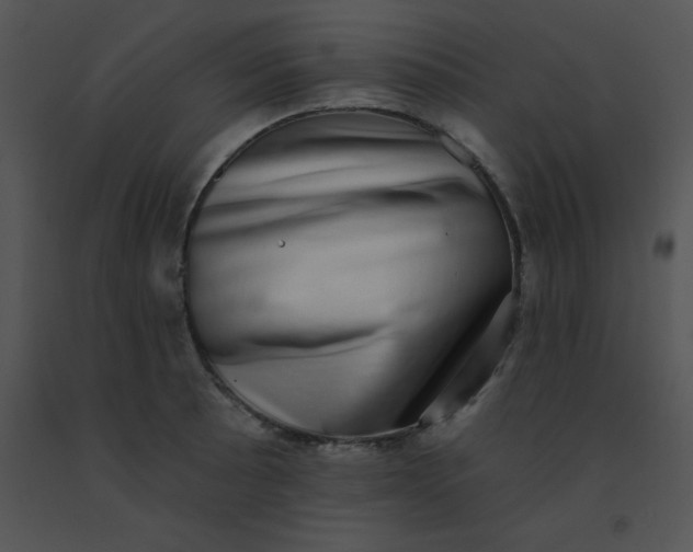 X0000091561089200708311410