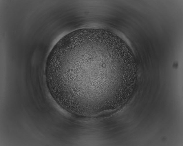 X0000091561091200708311410