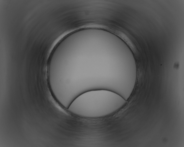 X0000091561092200708311410