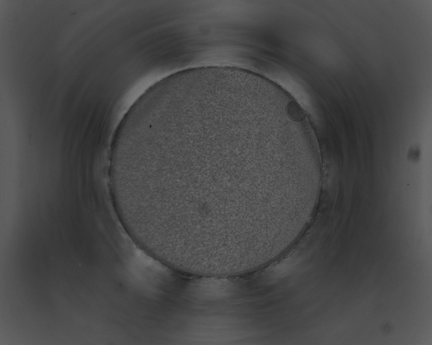 X0000091561094200708311410