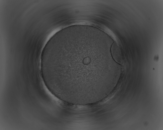 X0000091561095200708311410