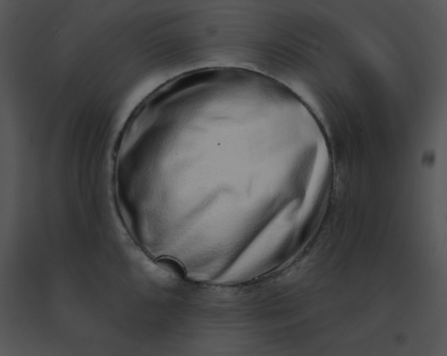 X0000091561096200708311410