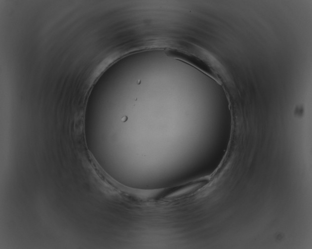 X0000091561097200708311410