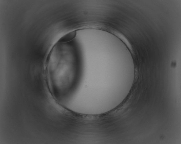 X0000091561099200708311410