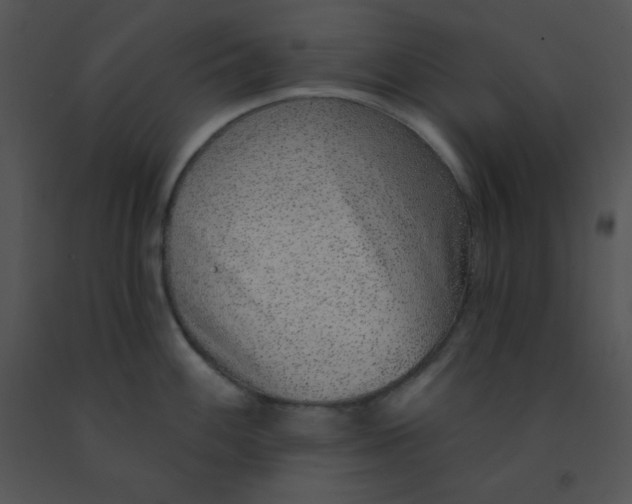 X0000091561100200708311410