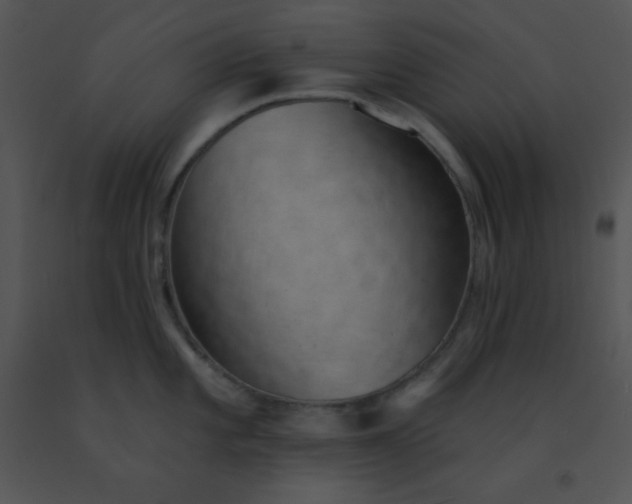 X0000091561101200708311410