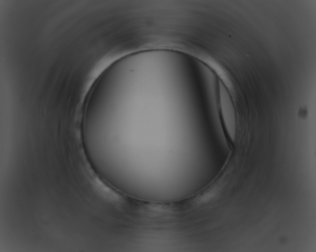 X0000091561102200708311409