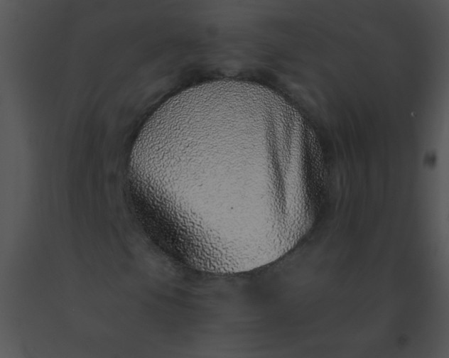 X0000091561105200708311409