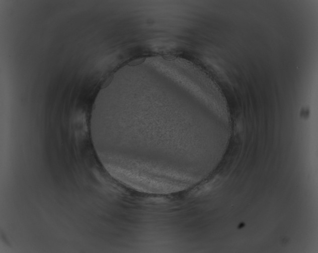 X0000091561106200708311409