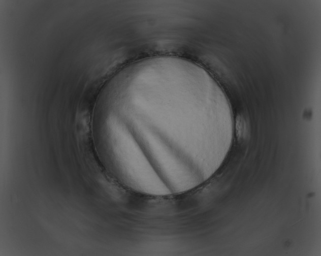 X0000091561107200708311409