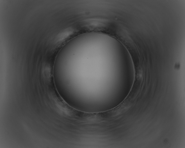 X0000091561108200708311409