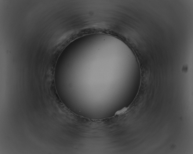 X0000091561110200708311409