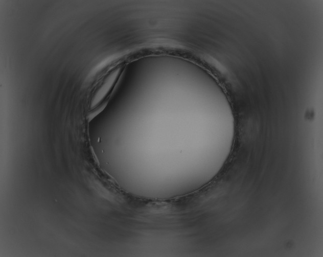 X0000091561112200708311409