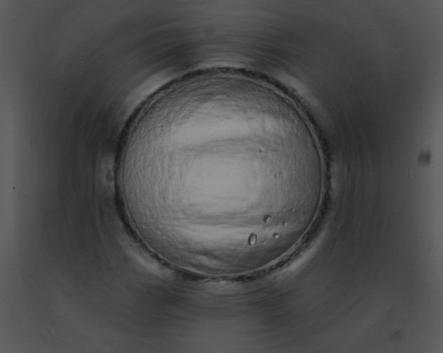 X0000091561113200708311409