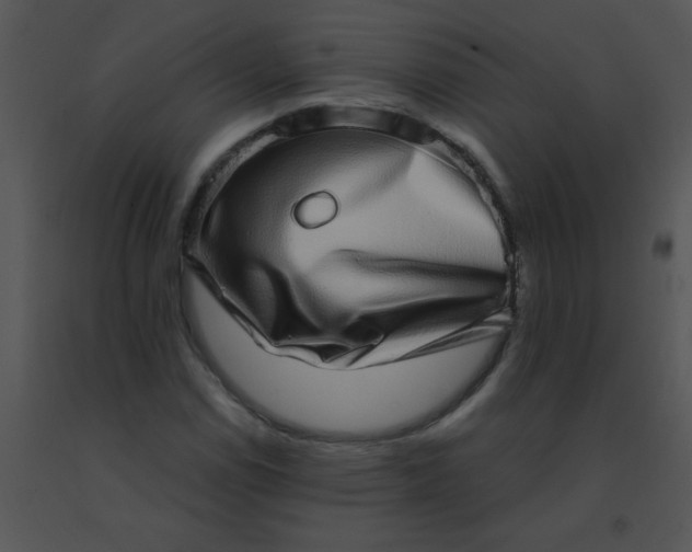 X0000091561114200708311409