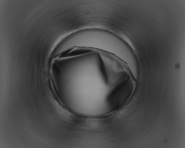 X0000091561116200708311409