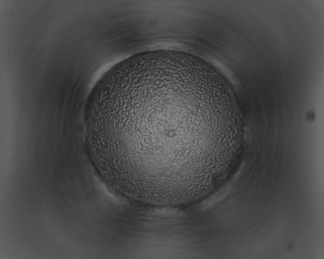 X0000091561117200708311409