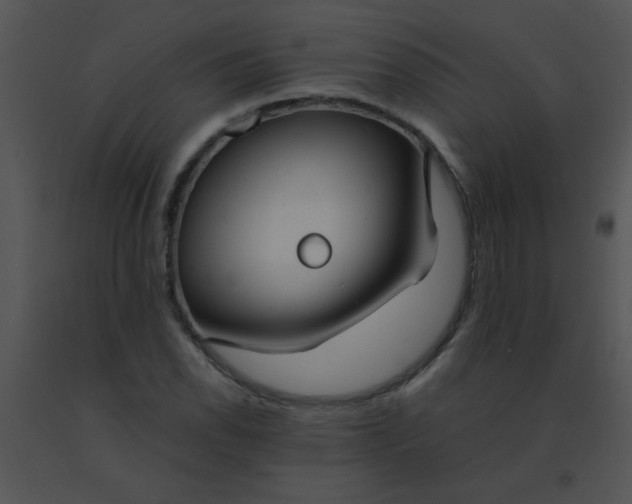 X0000091561118200708311409