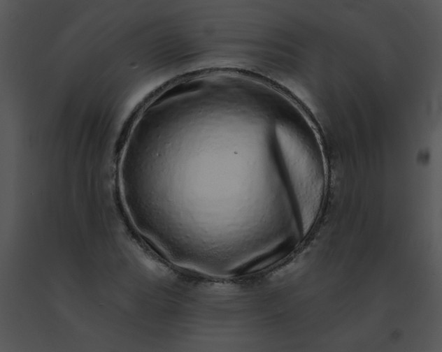 X0000091561119200708311409