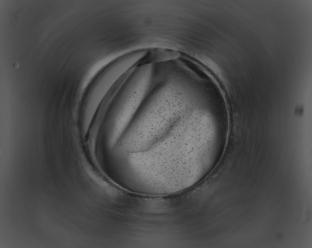 X0000091561120200708311409