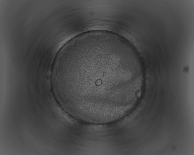 X0000091561121200708311409